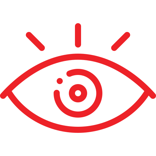 Our Vision